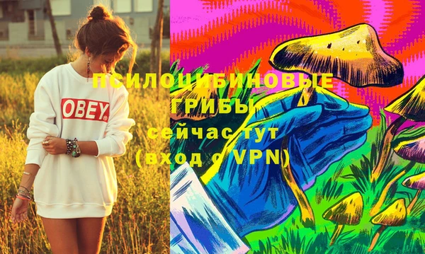 винт Алзамай