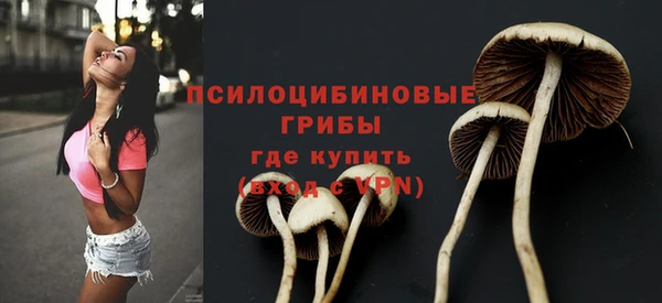 дмт Алексеевка