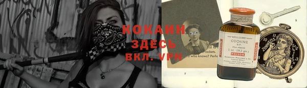 винт Алзамай