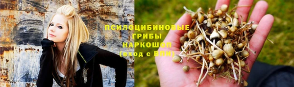 дмт Алексеевка